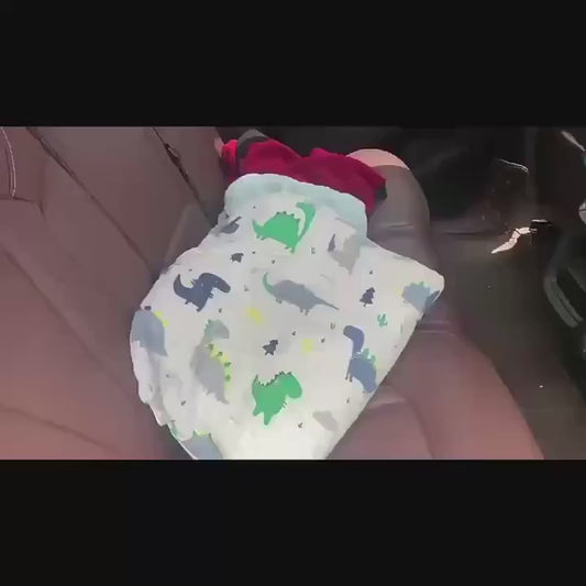 Rete Portaoggetti da Tetto